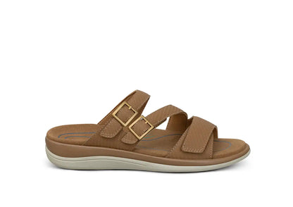 Sahara